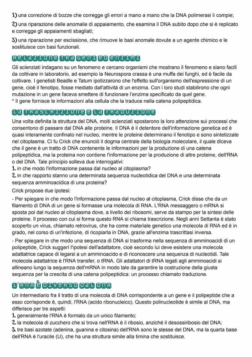 I Geni Sono Fatti di DNA
MIESCHER
Nell'800 si fecero alcuni esperimenti sul DNA, ma solo nel 900 si capì il ruolo del DNA. Miescher,
un medi