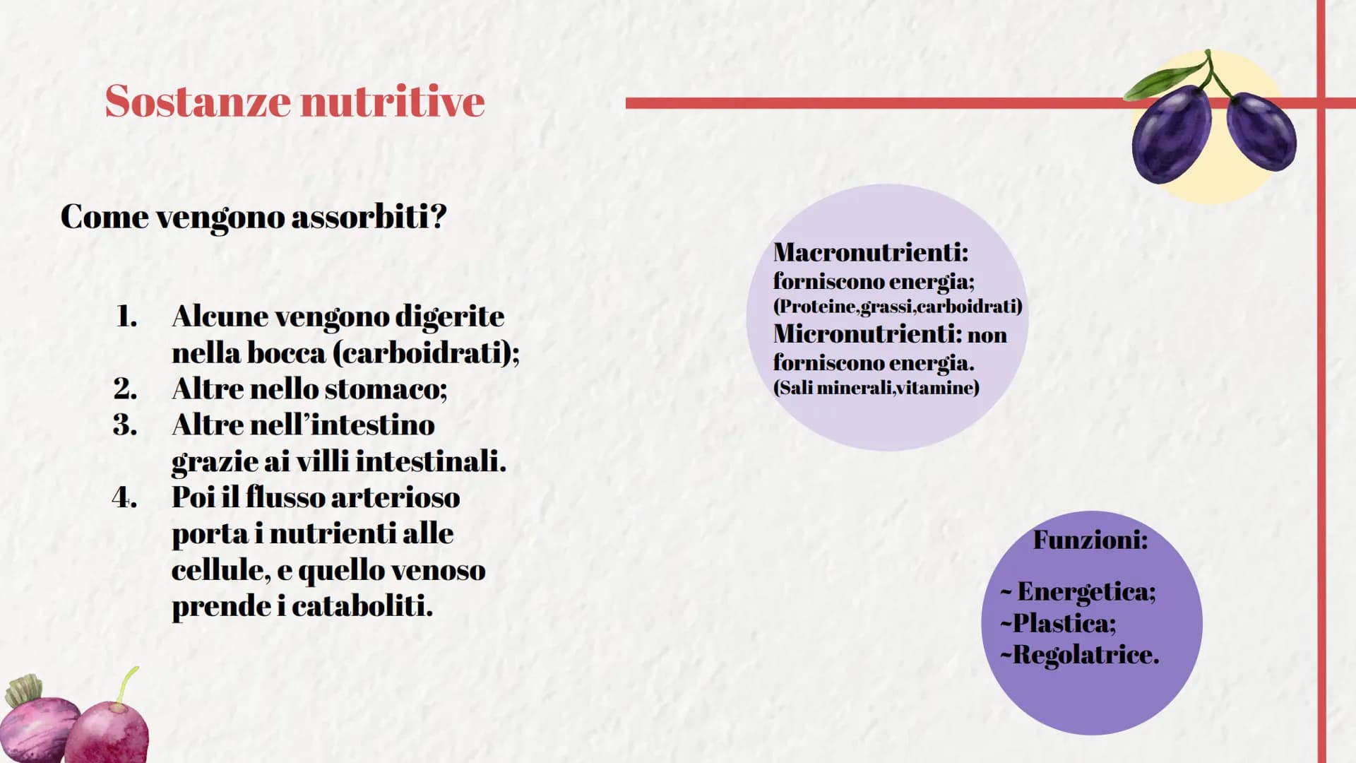 Alimentazione
Sana
Ferrera Aurora
5P Apporto adeguato
di energia e
nutrienti.
Attività fisica e idratazione.
Cosa si intende per
alimentazio