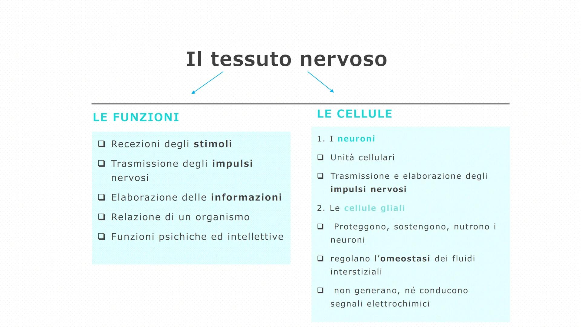 Il tessuto
nervoso
Pieralisi Aurora 3A
Rates M LE FUNZIONI
Il tessuto nervoso
□ Recezioni degli stimoli
Trasmissione degli impulsi
nervosi
E