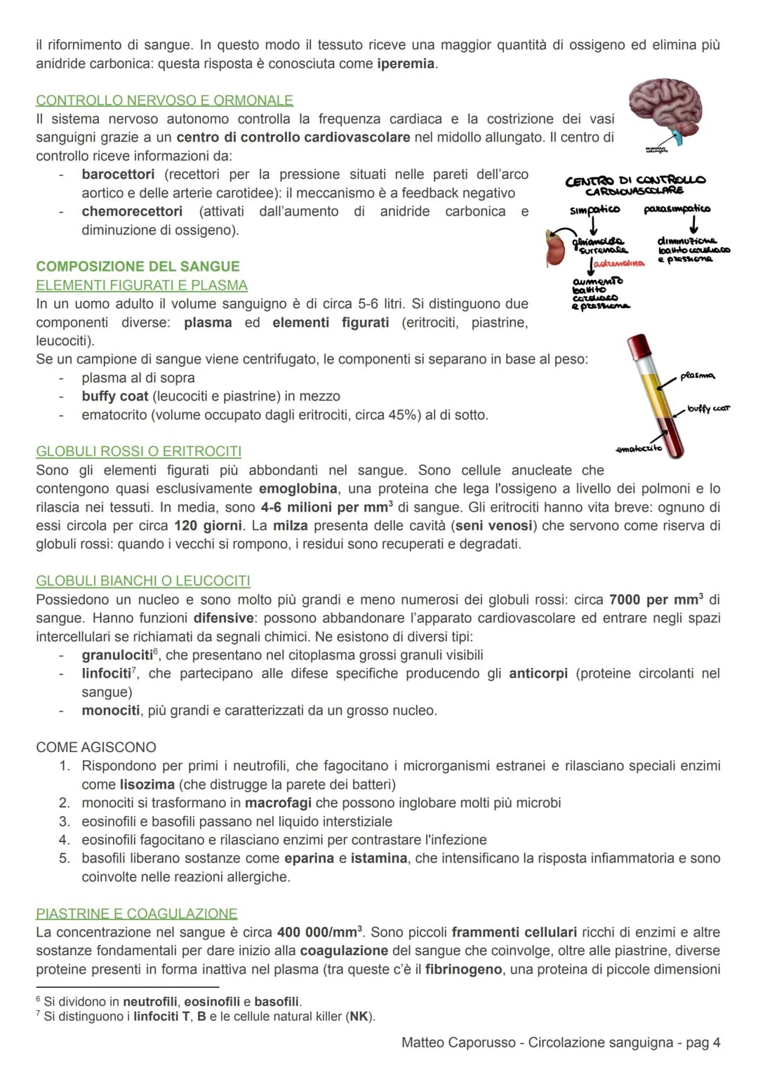 CIRCOLAZIONE SANGUIGNA
APPARATO CARDIOCIRCOLATORIO
CIRCOLAZIONE DEI MAMMIFERI
L'apparato cardiovascolare (o circolatorio) trasporta nel sang