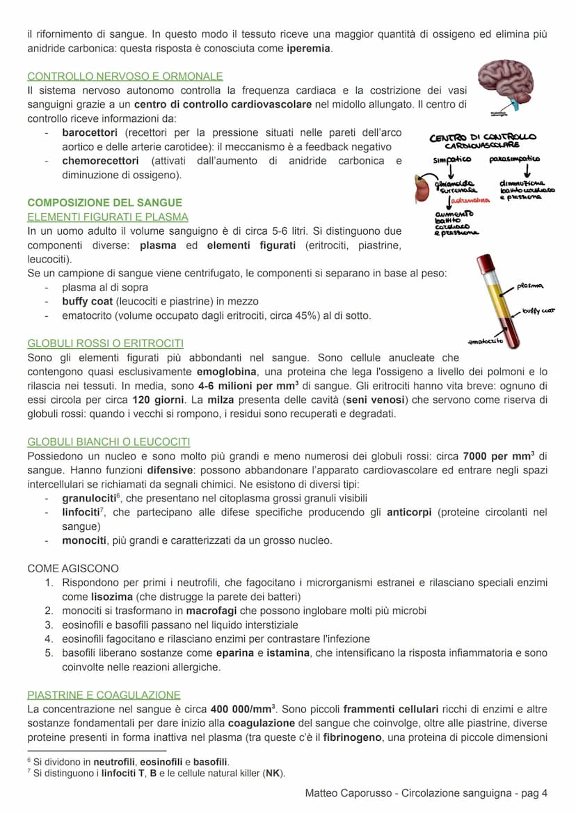 CIRCOLAZIONE SANGUIGNA
APPARATO CARDIOCIRCOLATORIO
CIRCOLAZIONE DEI MAMMIFERI
L'apparato cardiovascolare (o circolatorio) trasporta nel sang