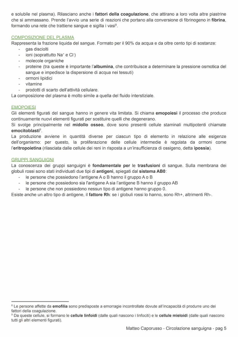 CIRCOLAZIONE SANGUIGNA
APPARATO CARDIOCIRCOLATORIO
CIRCOLAZIONE DEI MAMMIFERI
L'apparato cardiovascolare (o circolatorio) trasporta nel sang