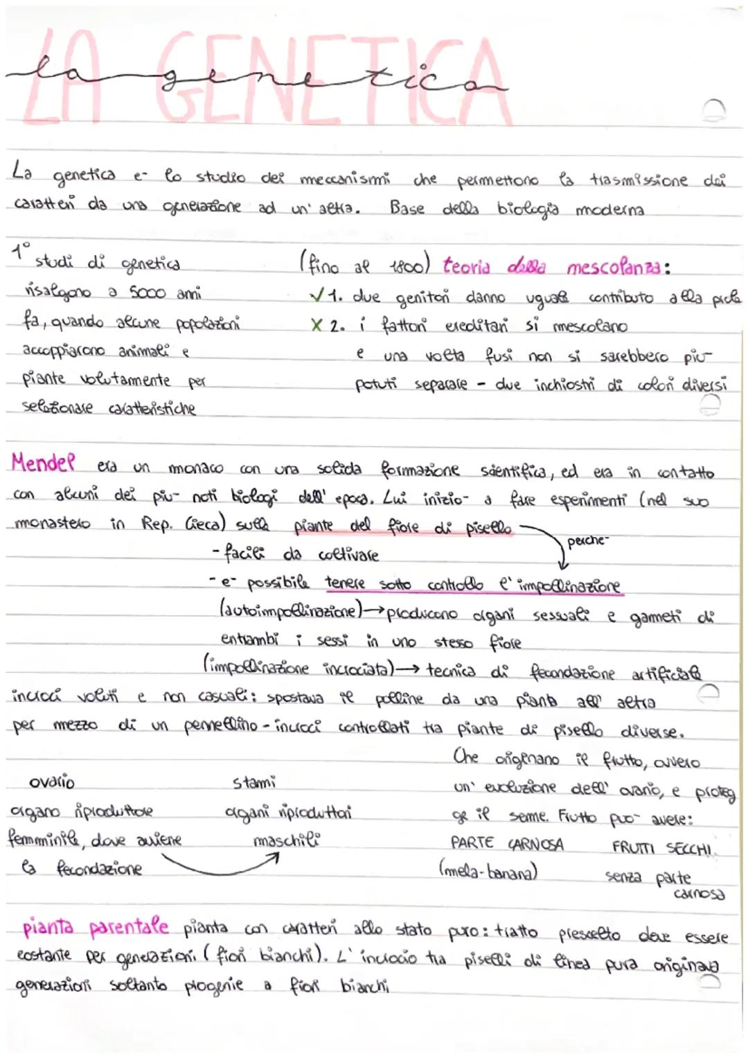 la sine tica
La
genetica e- lo studio dei meccanismi.
caratten da una generazione ad un' altra.
1°
studi di genetica.
risalgono a 5000 anni
