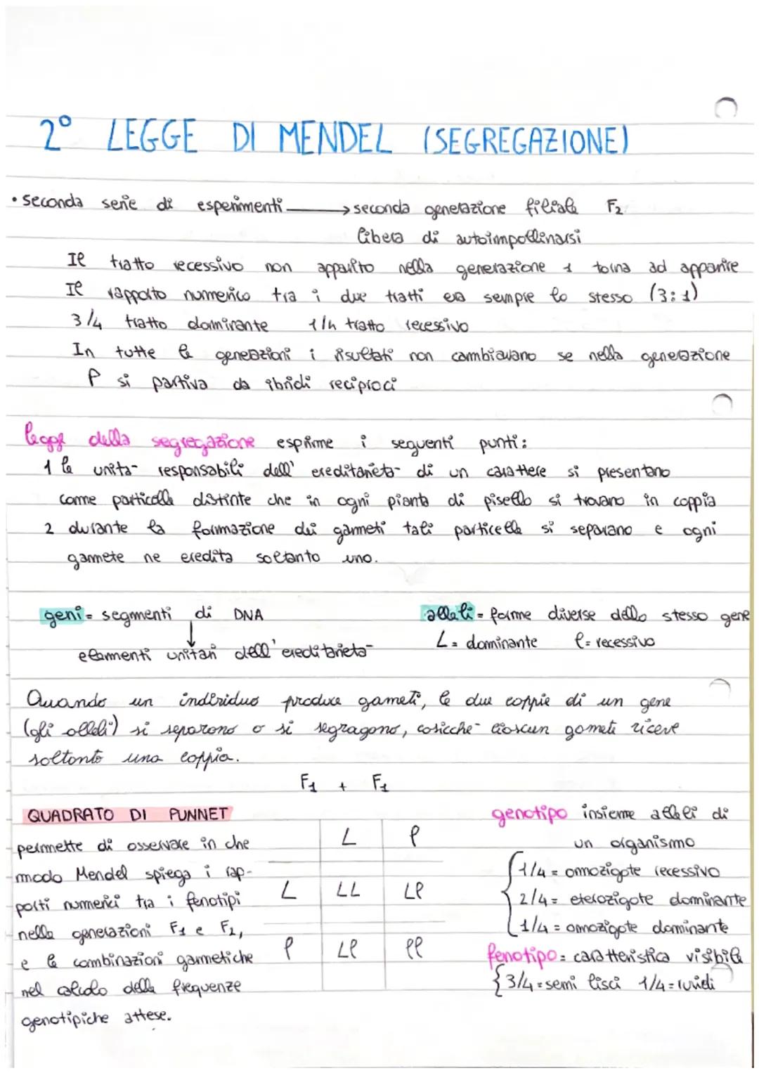 la sine tica
La
genetica e- lo studio dei meccanismi.
caratten da una generazione ad un' altra.
1°
studi di genetica.
risalgono a 5000 anni
