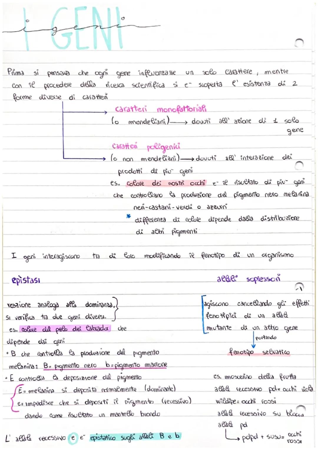 la sine tica
La
genetica e- lo studio dei meccanismi.
caratten da una generazione ad un' altra.
1°
studi di genetica.
risalgono a 5000 anni

