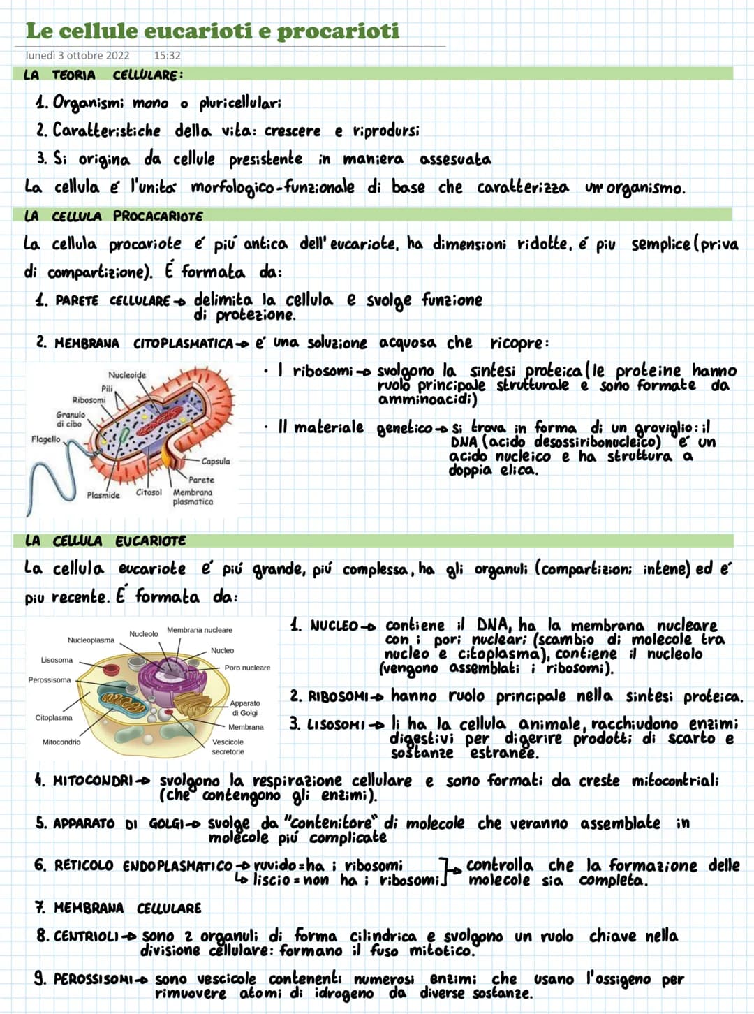 Le cellule eucarioti e procarioti
lunedì 3 ottobre 2022
LA TEORIA CELLULARE:
1. Organismi mono o pluricellular:
2. Caratteristiche della vit