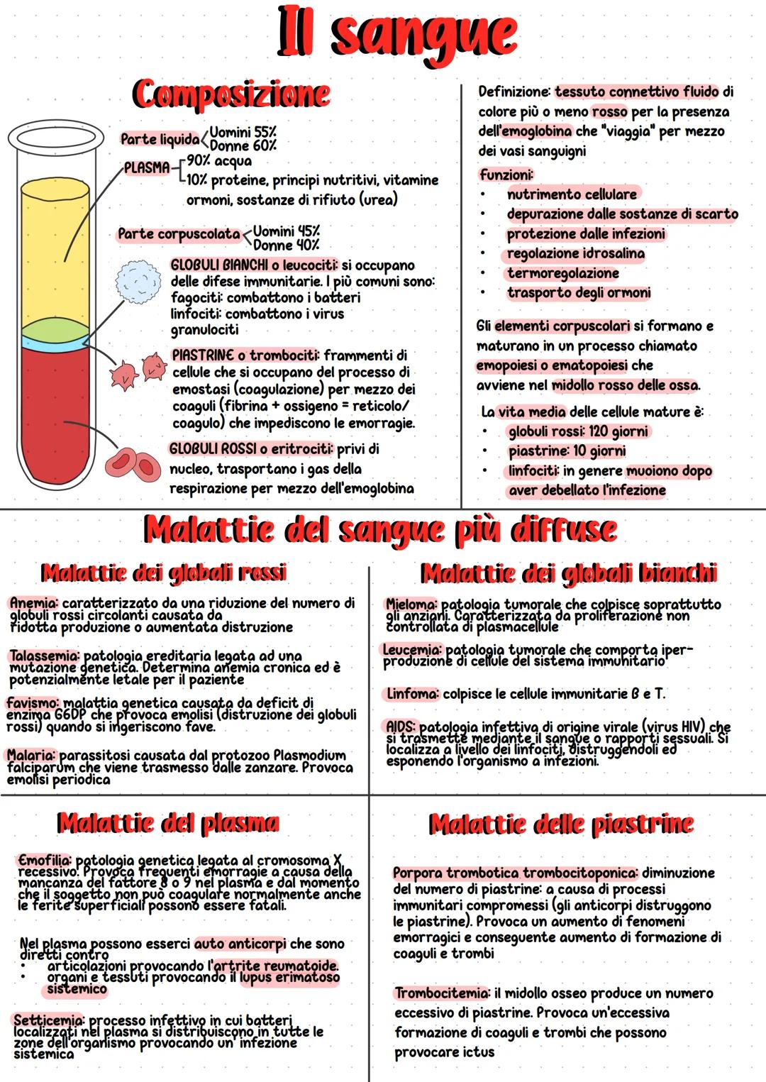 Apparato cardiocircolatorio
Chiamato anche apparato circolatorio vascolare
Gruppo di organi atti alla distribuzione e trasporto dei fluidi n