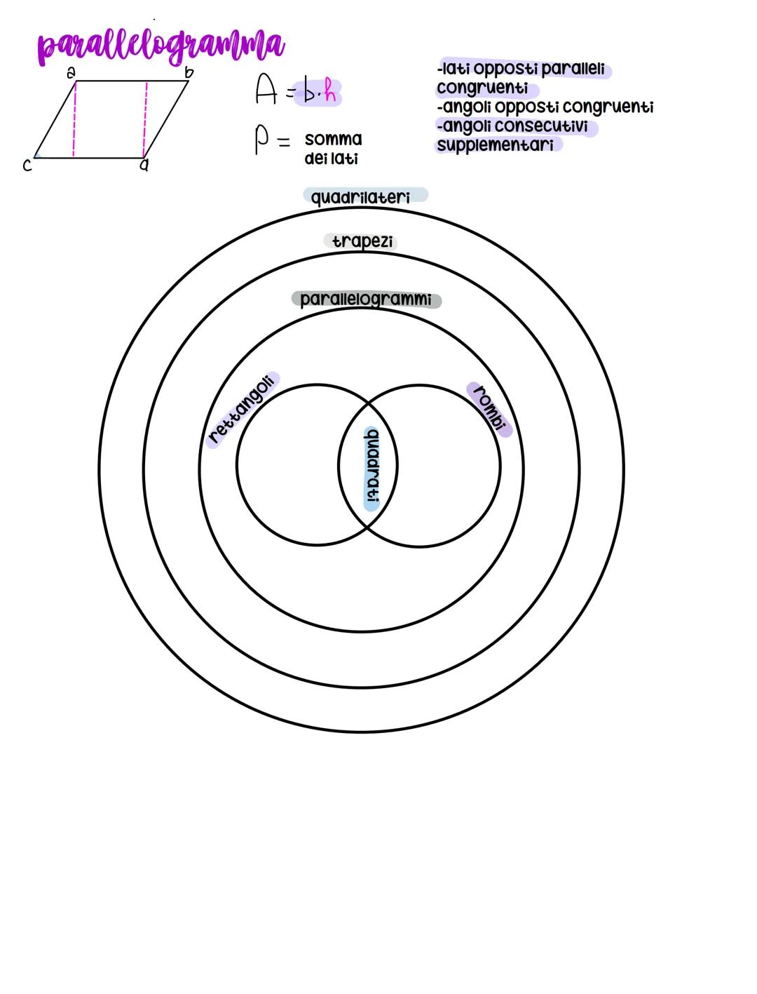 quadrato
rombo
rettangolo
a
!--C
trapezio
i quadrilateri
rettangolo
2 angoli
rettangoli
A=l·l²l=VA
P=1.4-³1=
A= d.o.o
2
P=l·4
A=b.h
P= (b·2)