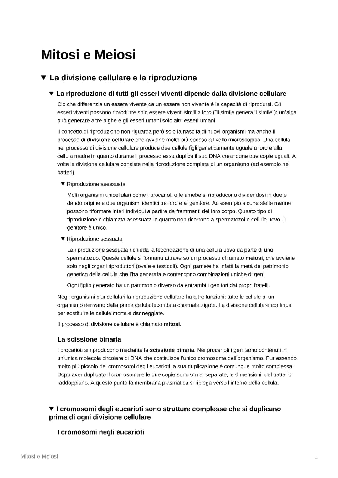 Mitosi e Meiosi