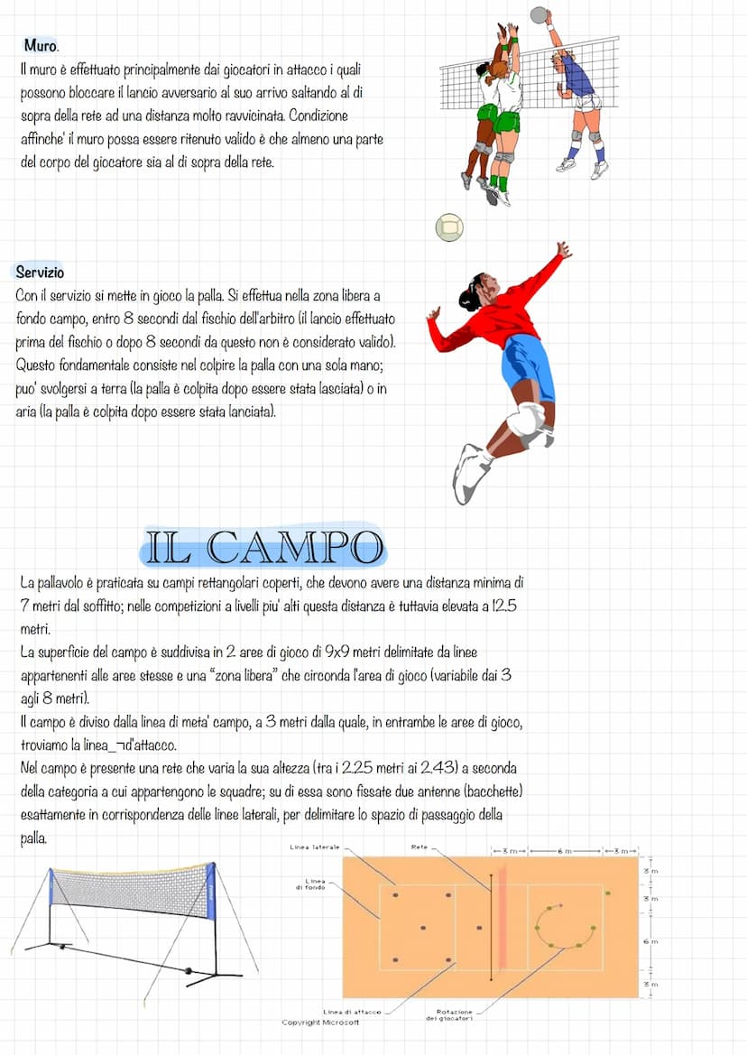 La pallavol
COS'È?
La pallavolo nasce nel 1895 negli Stati Uniti,
dove acquista subito un enorme successo. A
differenza degli altri giochi e