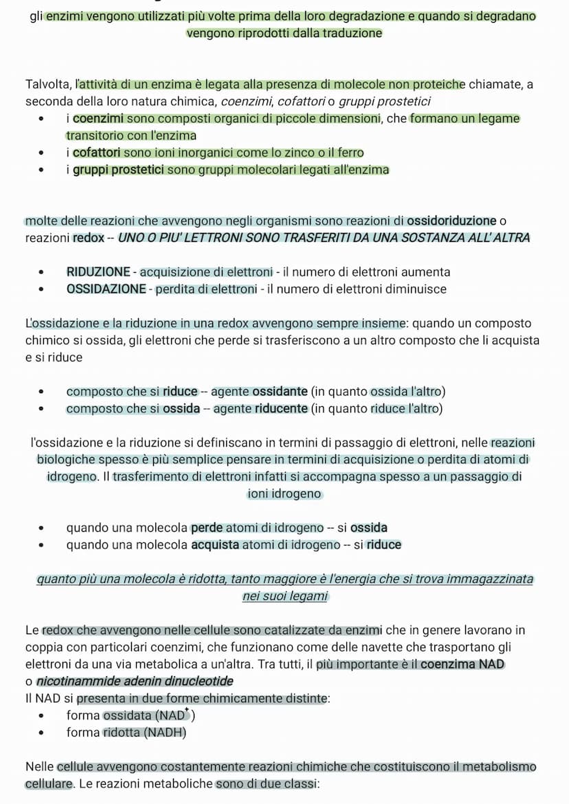 Forma di energia
Chimica: racchiusa nei
legami chimici
Tutti gli organismi viventi scambiano continuamente energia con l'ambiente
Elettrica: