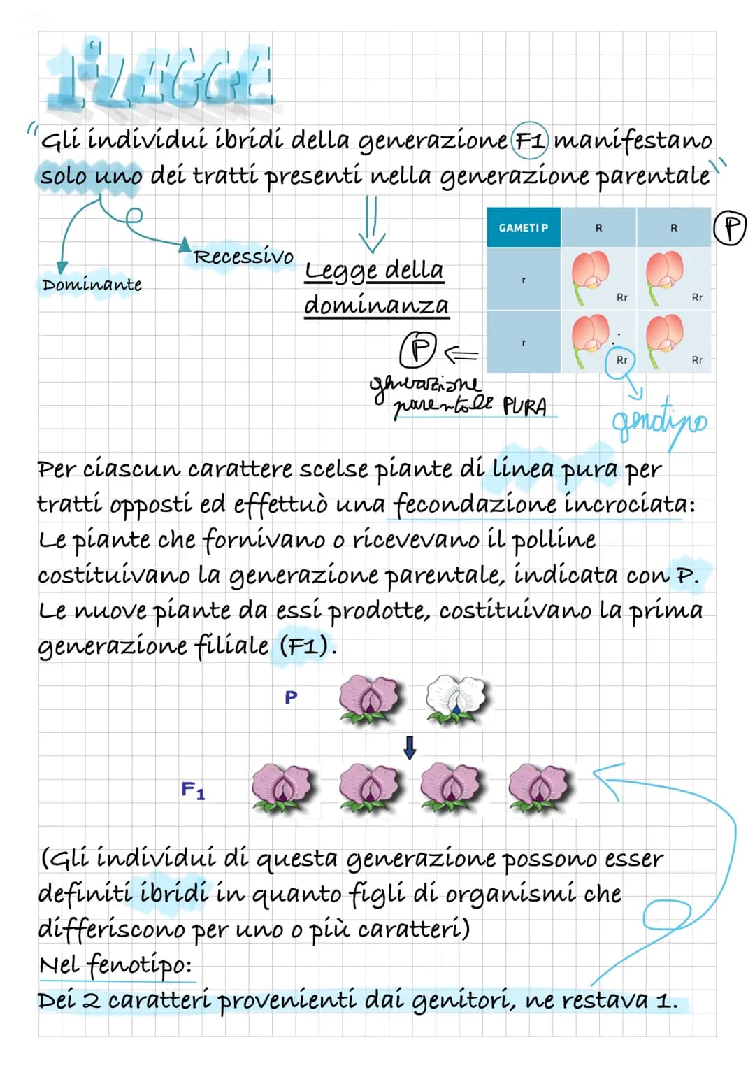 MENDER
ELLE SIE
LEGGI
Gregor Mendel era un monaco con una solida
formazione scientifica; compì i suoi esperimenti nella
seconda metà dell'80