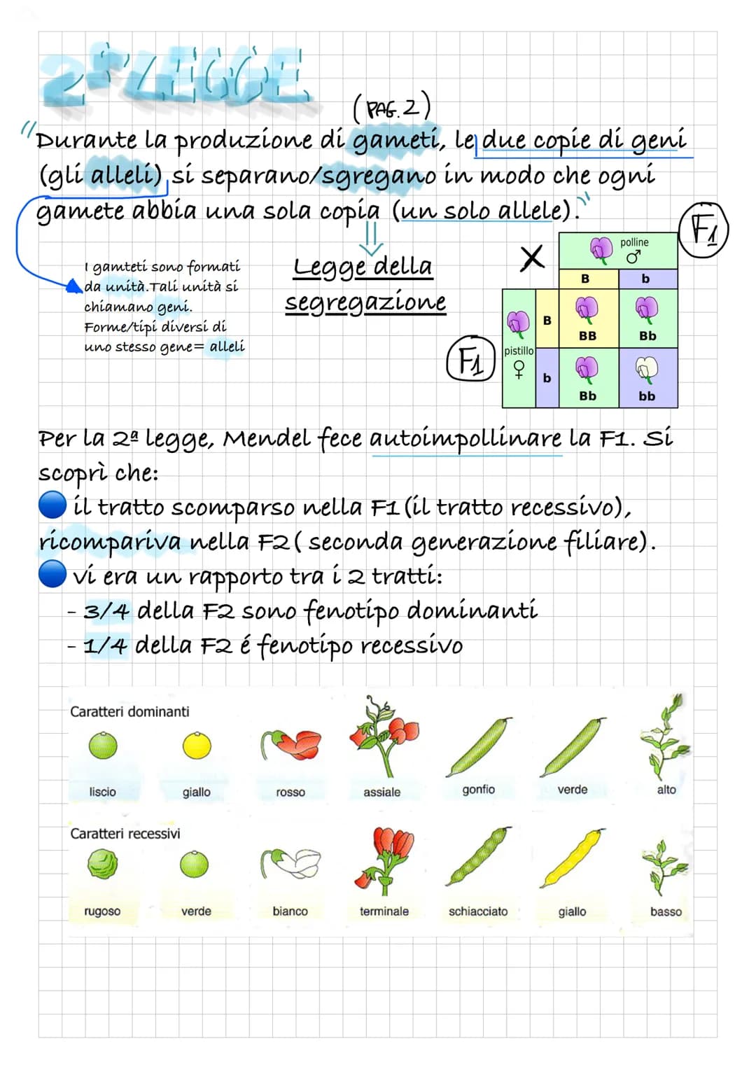 MENDER
ELLE SIE
LEGGI
Gregor Mendel era un monaco con una solida
formazione scientifica; compì i suoi esperimenti nella
seconda metà dell'80