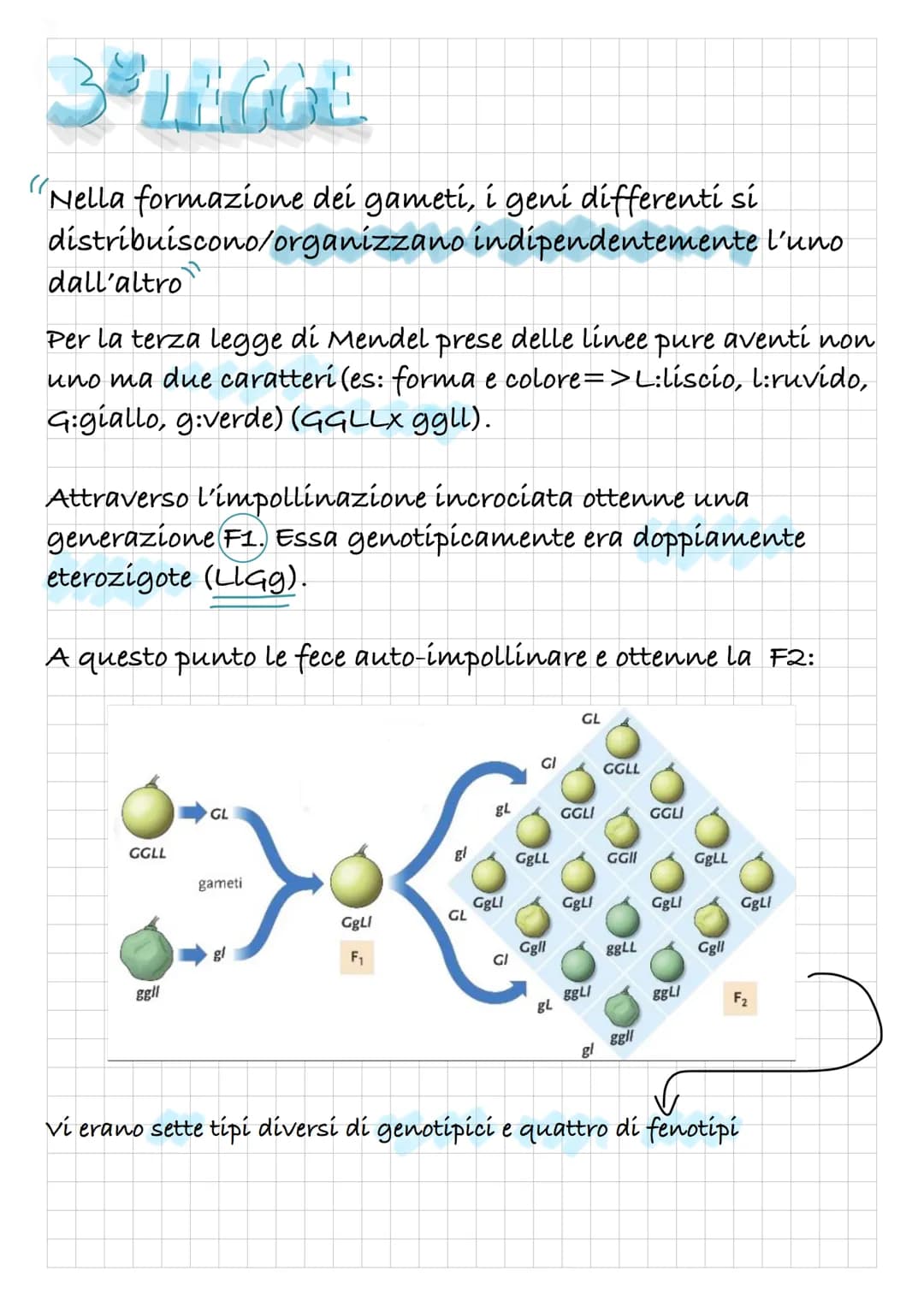 MENDER
ELLE SIE
LEGGI
Gregor Mendel era un monaco con una solida
formazione scientifica; compì i suoi esperimenti nella
seconda metà dell'80