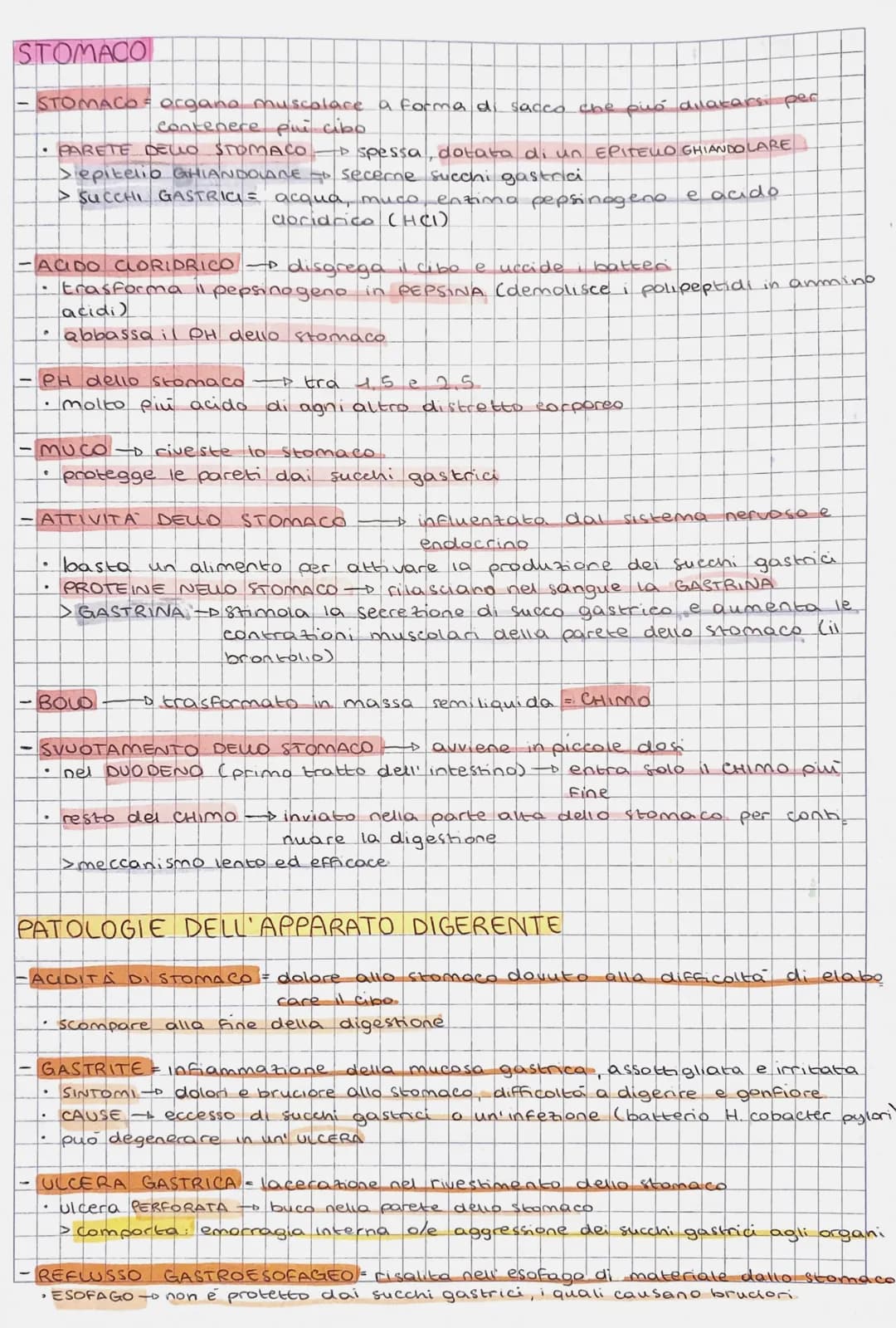 L'APPARATO DIGERENTE
DIGESTIONE
-DIGESTIONE = insieme
gli alimenti
- Funzioni svolte dall' APPARATO DIGERENTE:
• DEMOUZIONE → cibo ridotto n