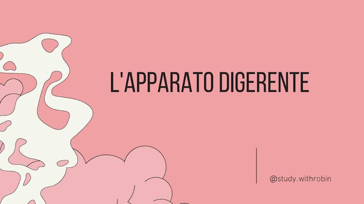 Know L'apparato digerente  thumbnail