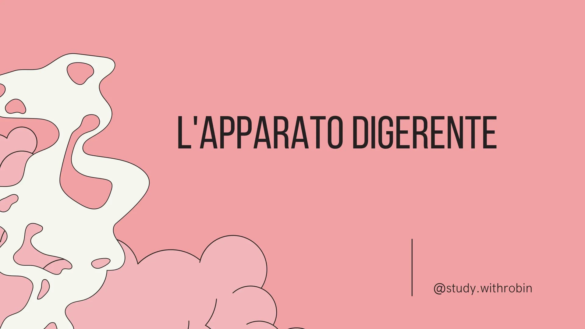 PE
r
L'APPARATO DIGERENTE
@study.withrobin. LA SUA
FUNZIONE
l'apparato digerente trasforma
gli alimenti in nutrienti.
Il suo compito è quell