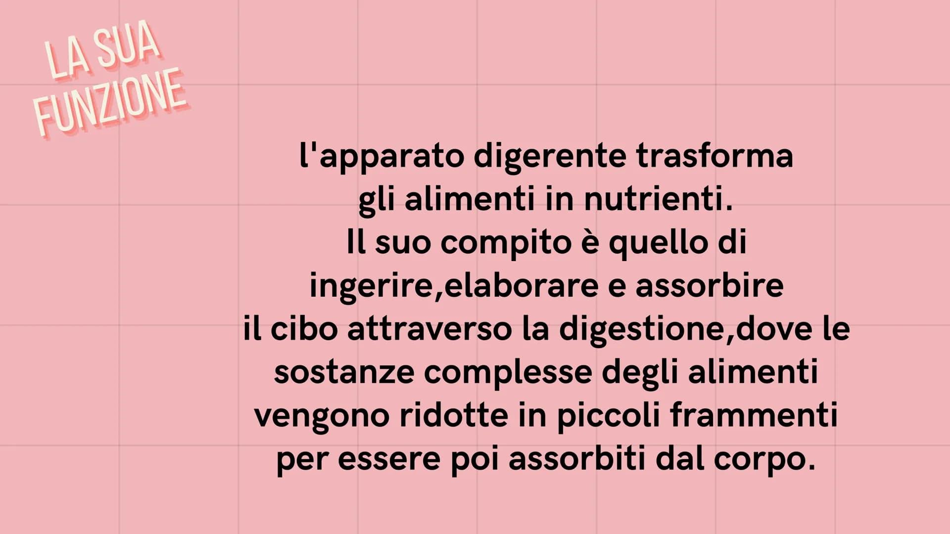 PE
r
L'APPARATO DIGERENTE
@study.withrobin. LA SUA
FUNZIONE
l'apparato digerente trasforma
gli alimenti in nutrienti.
Il suo compito è quell