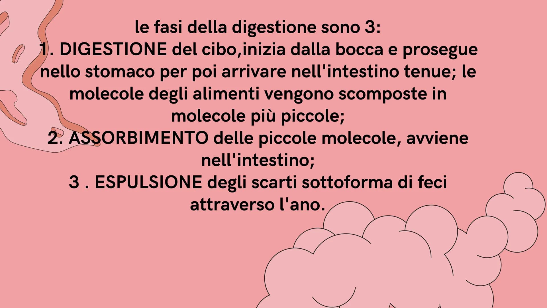 PE
r
L'APPARATO DIGERENTE
@study.withrobin. LA SUA
FUNZIONE
l'apparato digerente trasforma
gli alimenti in nutrienti.
Il suo compito è quell
