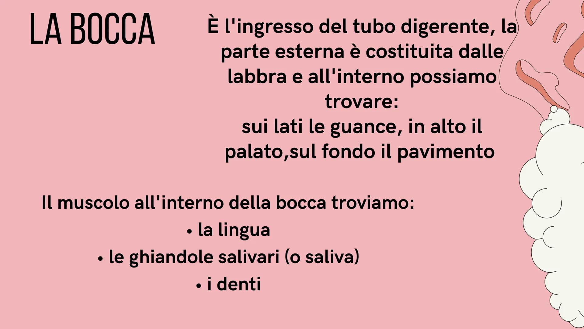 PE
r
L'APPARATO DIGERENTE
@study.withrobin. LA SUA
FUNZIONE
l'apparato digerente trasforma
gli alimenti in nutrienti.
Il suo compito è quell