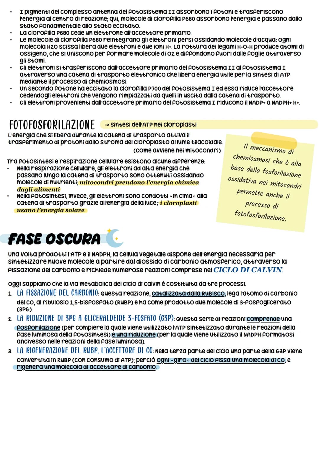 C6H₁₂O6 + 60₂
La fotosintesi è il processo anabolico che consente di catturare l'energia luminosa e di usaria per
Sintetizzare carboidrati.
