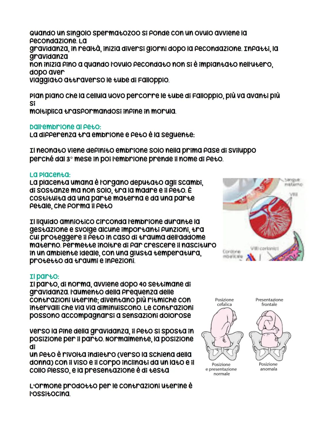 Riproduzione umana
I gameti:
I gameti o cellule germinali si differenziano da tutte le altre cellule del
corpo, dette cellule somatiche, per