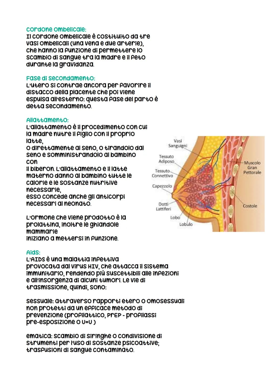 Riproduzione umana
I gameti:
I gameti o cellule germinali si differenziano da tutte le altre cellule del
corpo, dette cellule somatiche, per