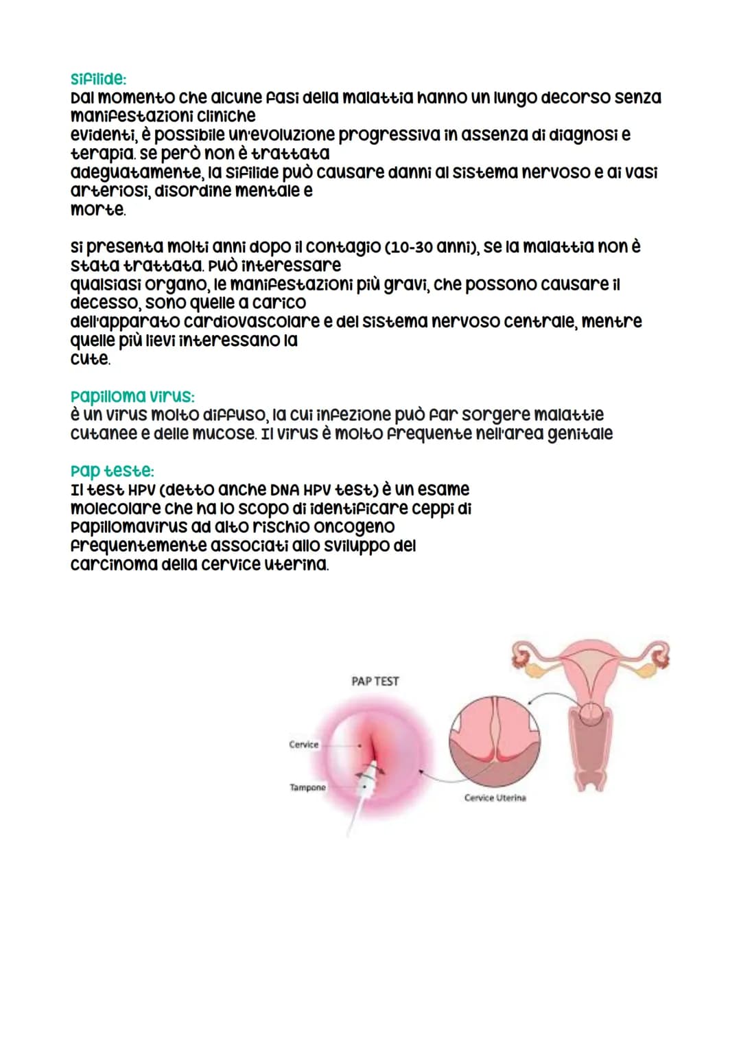 Riproduzione umana
I gameti:
I gameti o cellule germinali si differenziano da tutte le altre cellule del
corpo, dette cellule somatiche, per