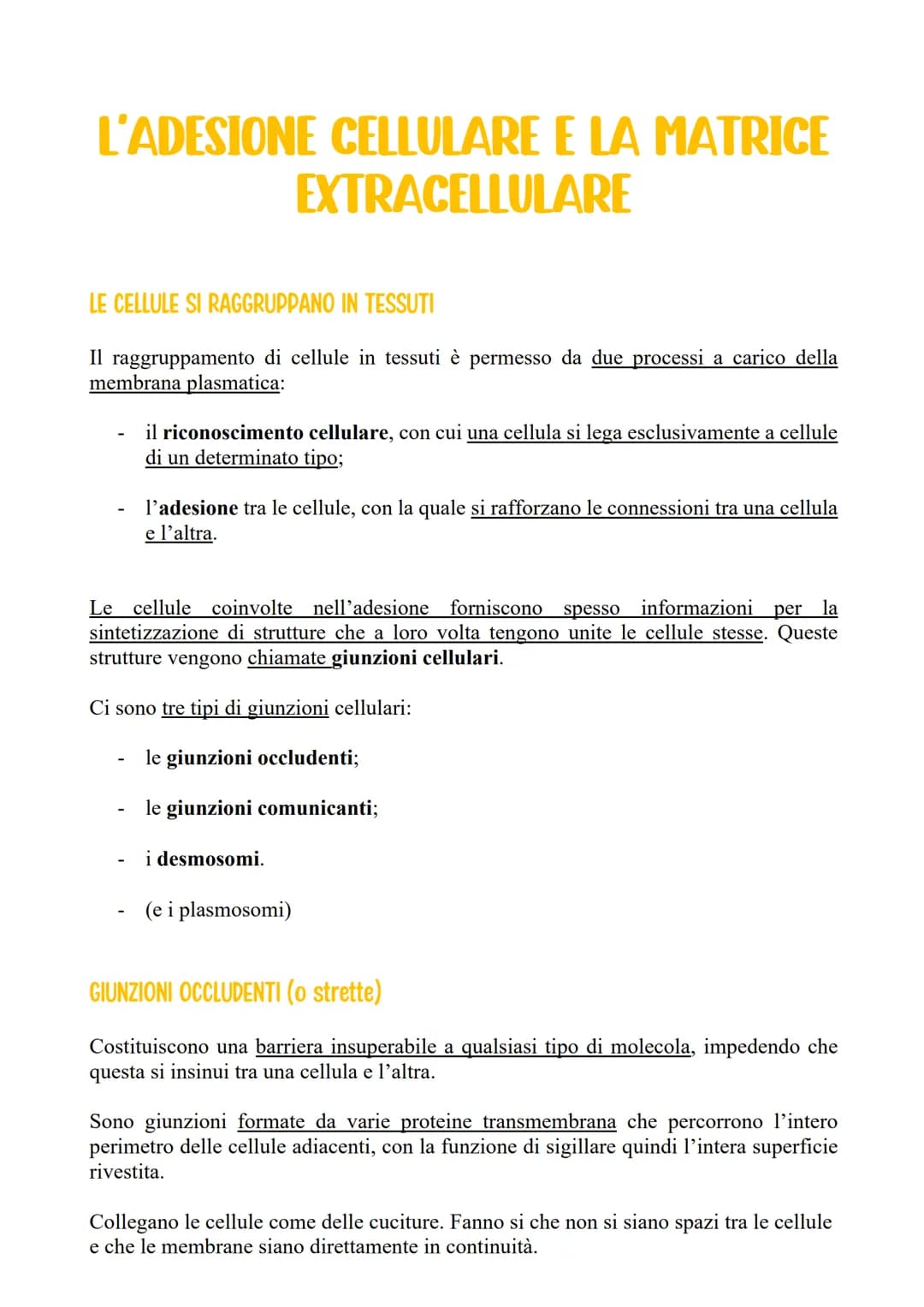 L'ADESIONE CELLULARE E LA MATRICE
EXTRACELLULARE
LE CELLULE SI RAGGRUPPANO IN TESSUTI
Il raggruppamento di cellule in tessuti è permesso da 