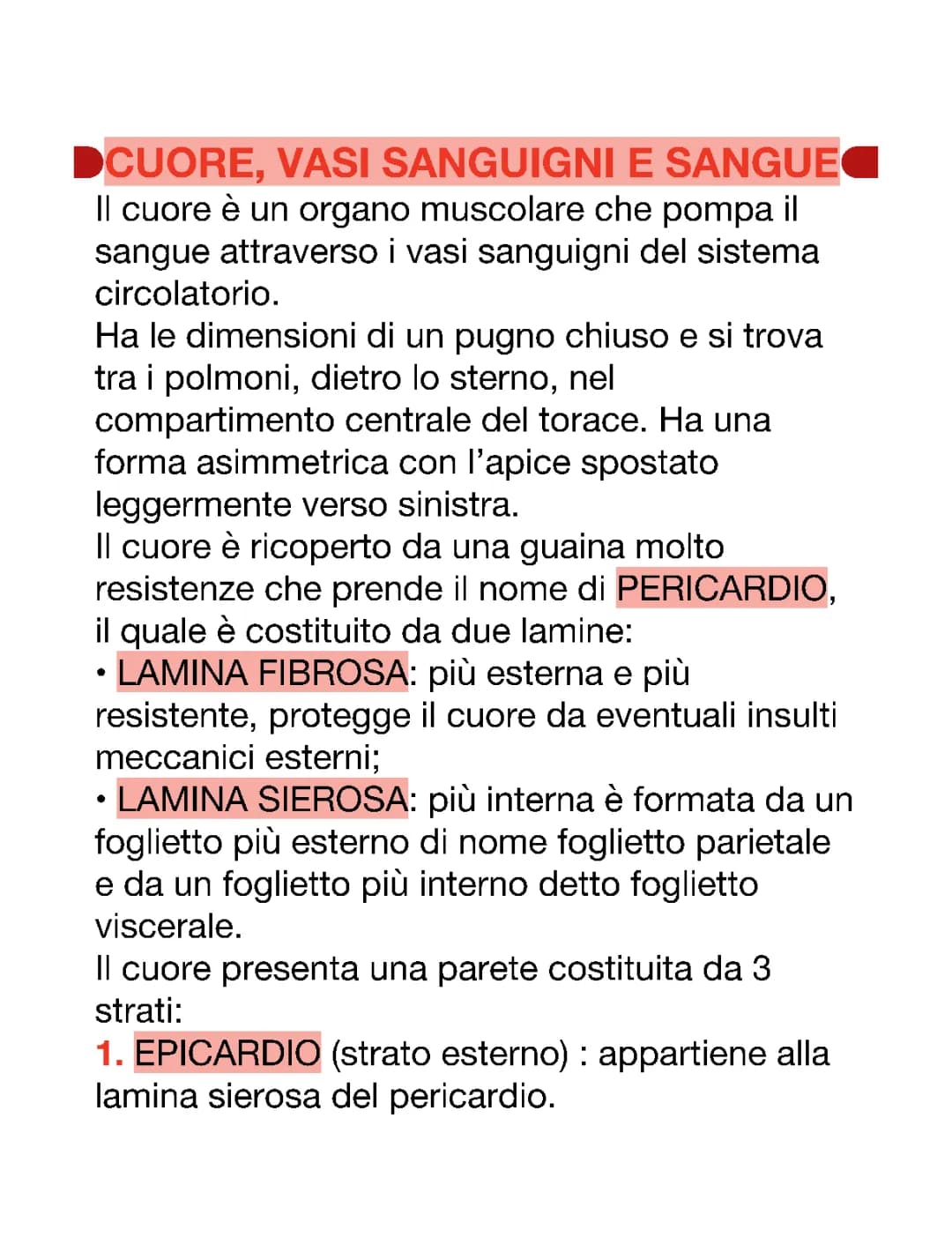 IL CUORE E I VASI SANGUIGNI