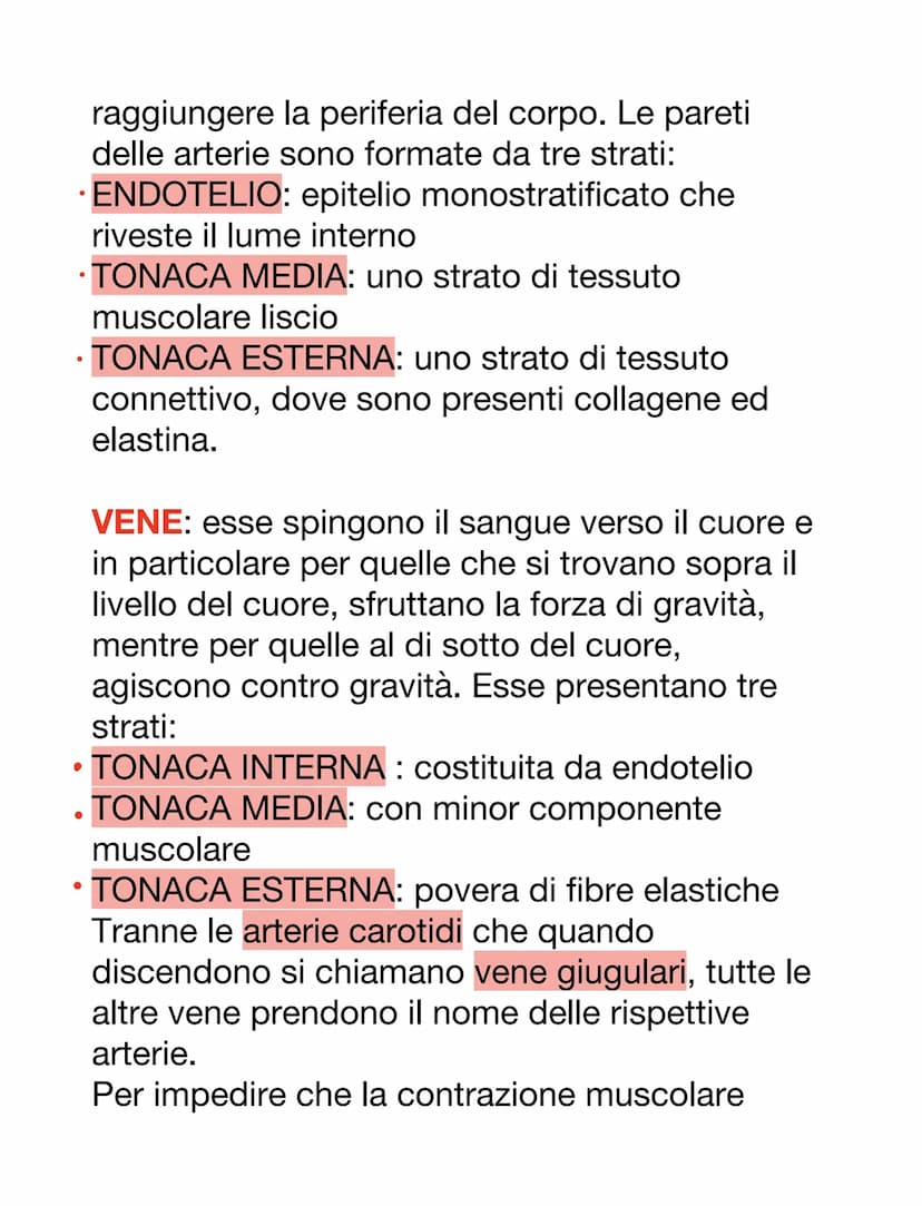 DCUORE, VASI SANGUIGNI E SANGUE
Il cuore è un organo muscolare che pompa il
sangue attraverso i vasi sanguigni del sistema
circolatorio.
Ha 