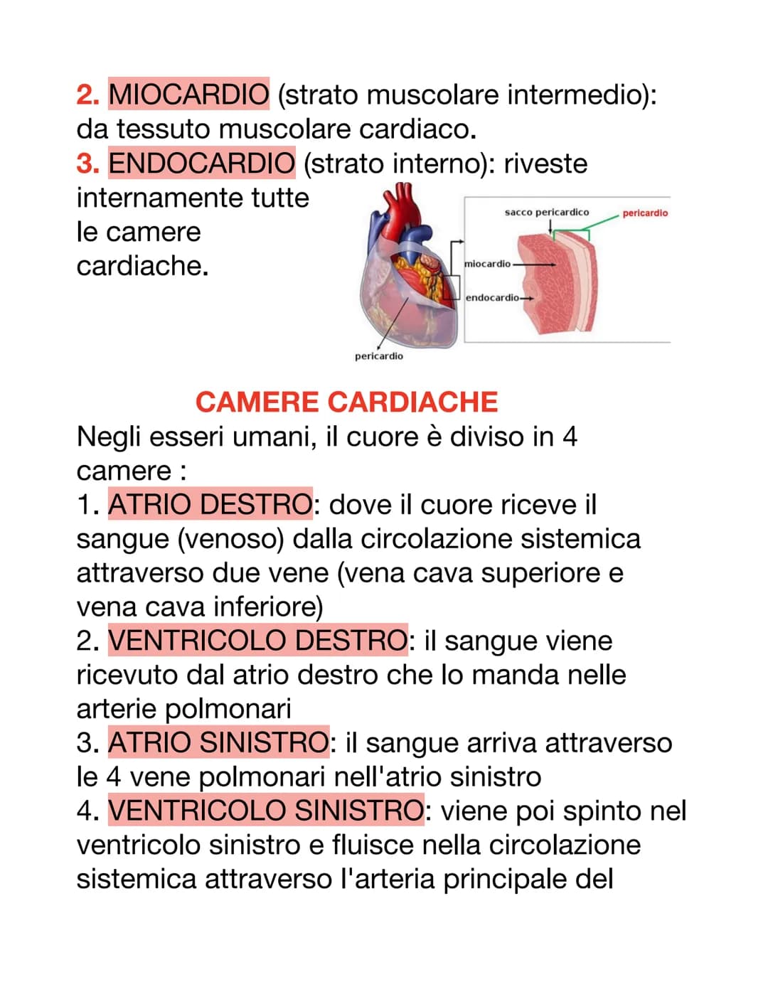 DCUORE, VASI SANGUIGNI E SANGUE
Il cuore è un organo muscolare che pompa il
sangue attraverso i vasi sanguigni del sistema
circolatorio.
Ha 