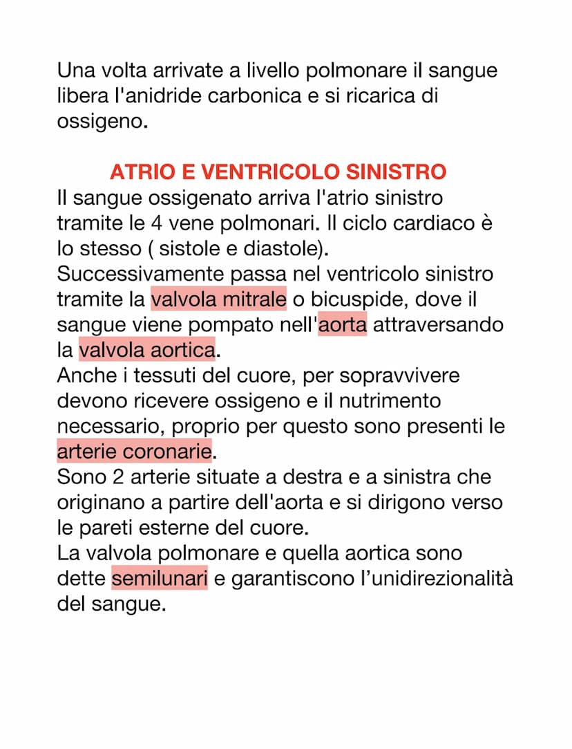 DCUORE, VASI SANGUIGNI E SANGUE
Il cuore è un organo muscolare che pompa il
sangue attraverso i vasi sanguigni del sistema
circolatorio.
Ha 