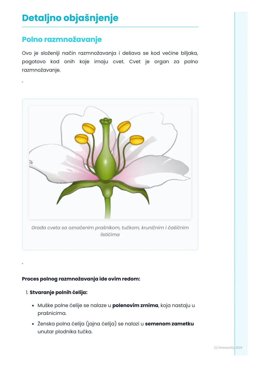 # Razmnožavanje biljaka

## Uvod u razmnožavanje biljaka

Razmnožavanje je jedna od osnovnih odlika svih živih bića, pa i biljaka. 
To je pr