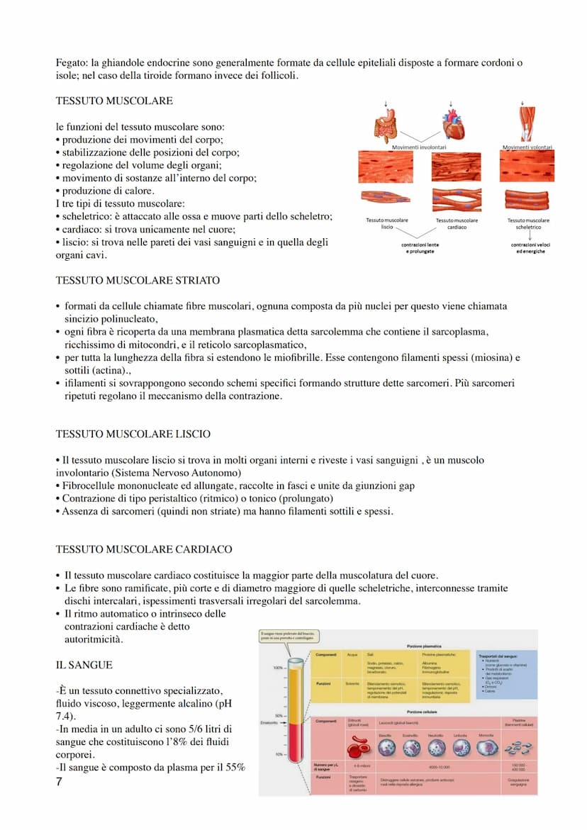 1
ANATOMIA E FISIOLOGIA UMANA 1- ISTOLOGIA
I livelli di organizzazione
1. Cellula: unità strutturale e funzionale di base dell'organismo.
2.