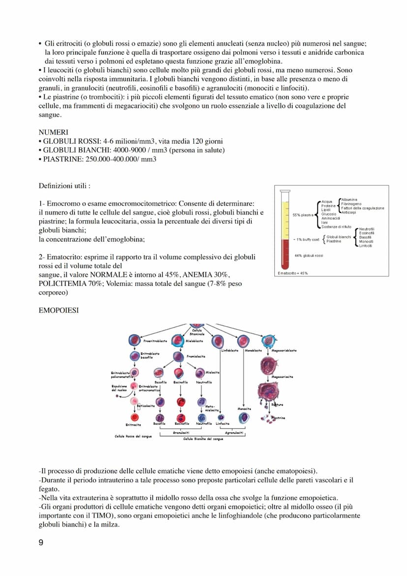 1
ANATOMIA E FISIOLOGIA UMANA 1- ISTOLOGIA
I livelli di organizzazione
1. Cellula: unità strutturale e funzionale di base dell'organismo.
2.