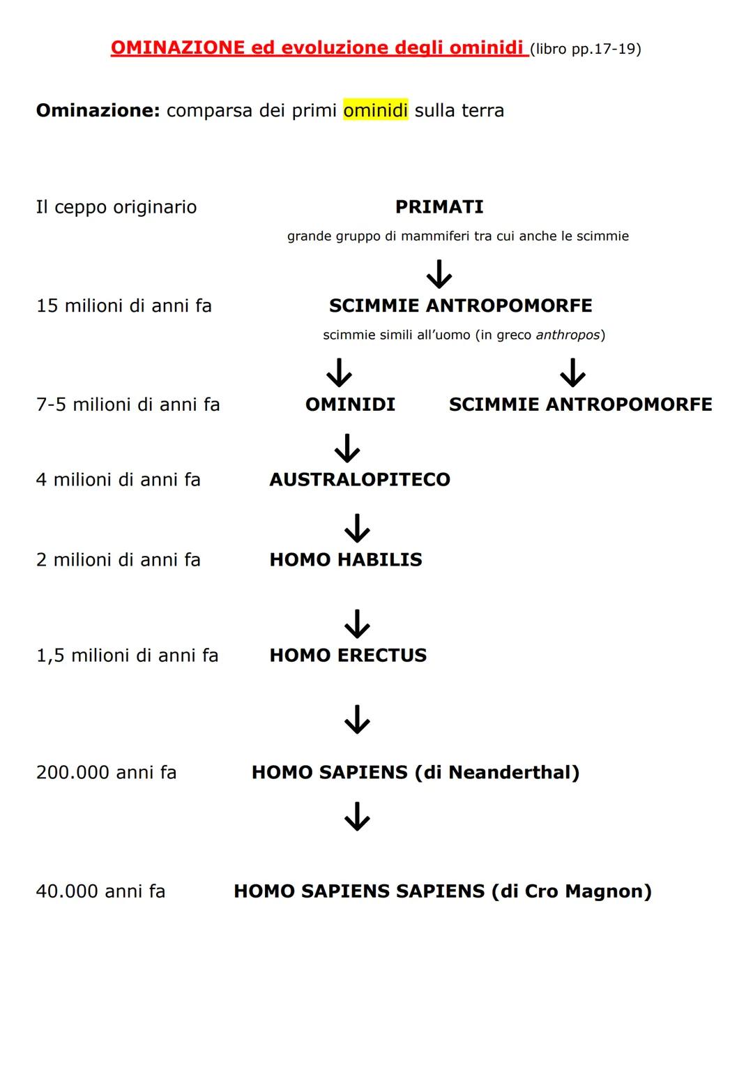 # OMINAZIONE ed evoluzione degli ominidi (libro pp.17-19)

Ominazione: comparsa dei primi ominidi sulla terra

Il ceppo originario

15 milio