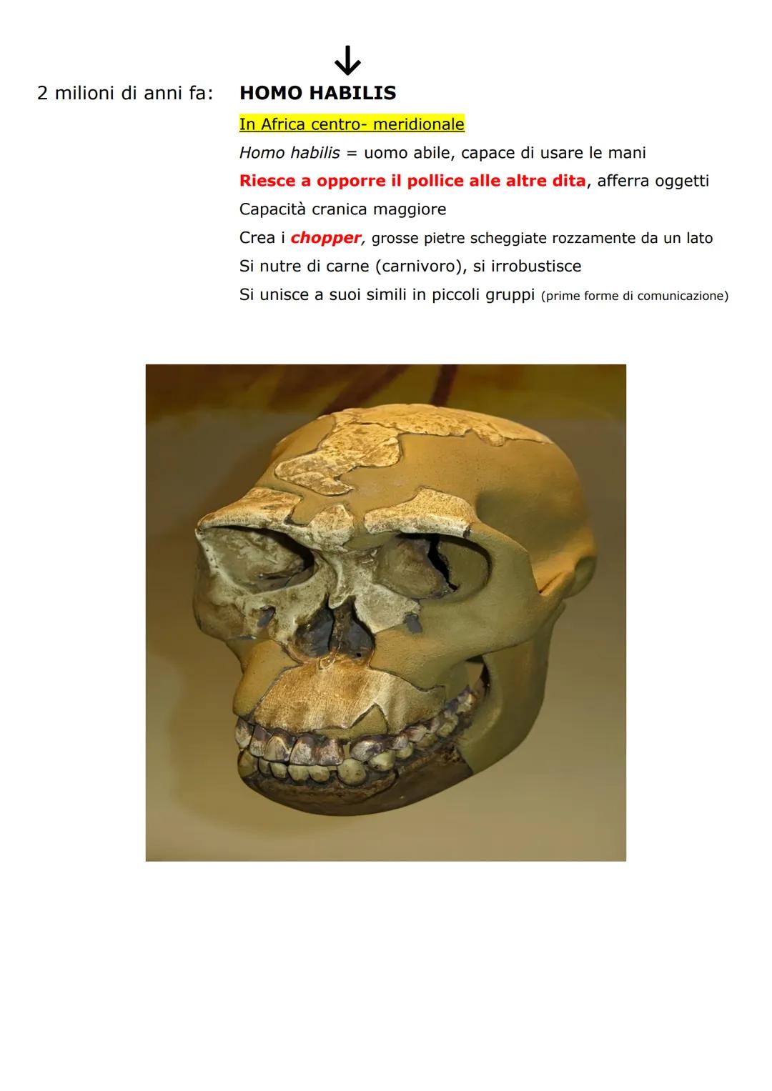 # OMINAZIONE ed evoluzione degli ominidi (libro pp.17-19)

Ominazione: comparsa dei primi ominidi sulla terra

Il ceppo originario

15 milio