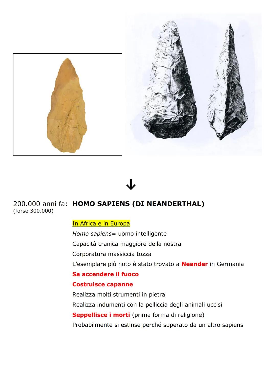 # OMINAZIONE ed evoluzione degli ominidi (libro pp.17-19)

Ominazione: comparsa dei primi ominidi sulla terra

Il ceppo originario

15 milio