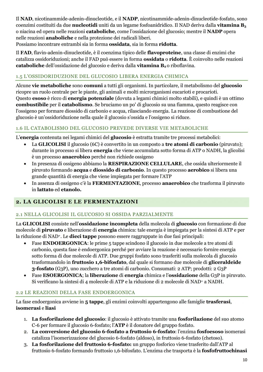 LE BIOMOLECOLE
1. I CARBOIDRATI
1.1 LA BIOCHIMICA
La BIOCHIMICA studia la struttura e la sintesi delle BIOMOLECOLE e il METABOLISMO
CELLULAR