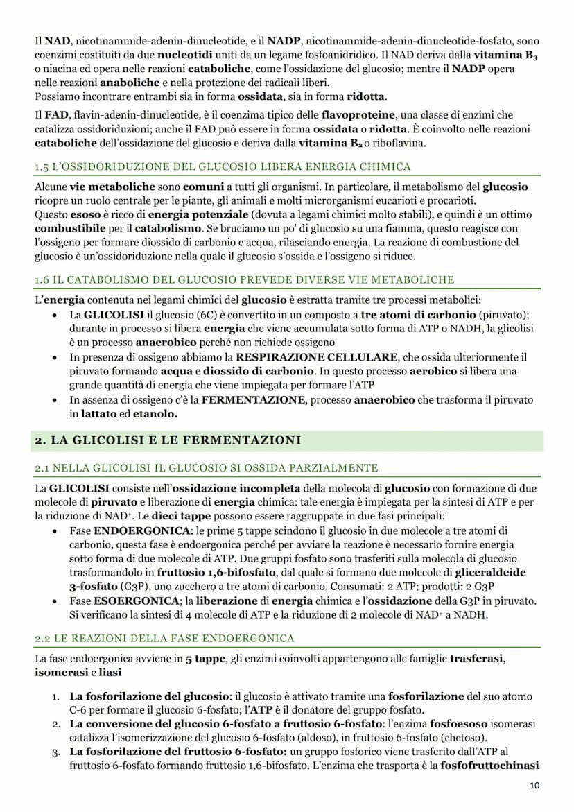 LE BIOMOLECOLE
1. I CARBOIDRATI
1.1 LA BIOCHIMICA
La BIOCHIMICA studia la struttura e la sintesi delle BIOMOLECOLE e il METABOLISMO
CELLULAR