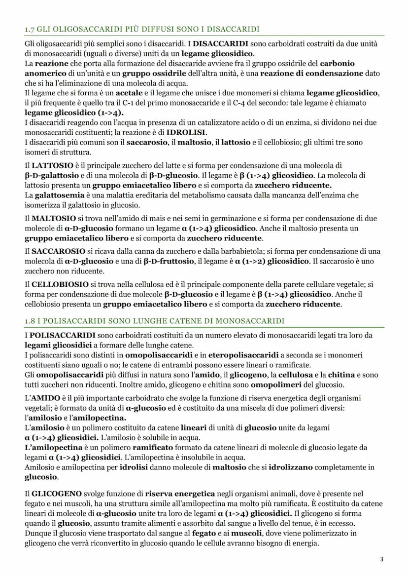 LE BIOMOLECOLE
1. I CARBOIDRATI
1.1 LA BIOCHIMICA
La BIOCHIMICA studia la struttura e la sintesi delle BIOMOLECOLE e il METABOLISMO
CELLULAR
