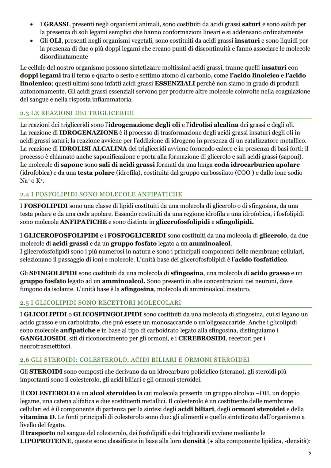 LE BIOMOLECOLE
1. I CARBOIDRATI
1.1 LA BIOCHIMICA
La BIOCHIMICA studia la struttura e la sintesi delle BIOMOLECOLE e il METABOLISMO
CELLULAR