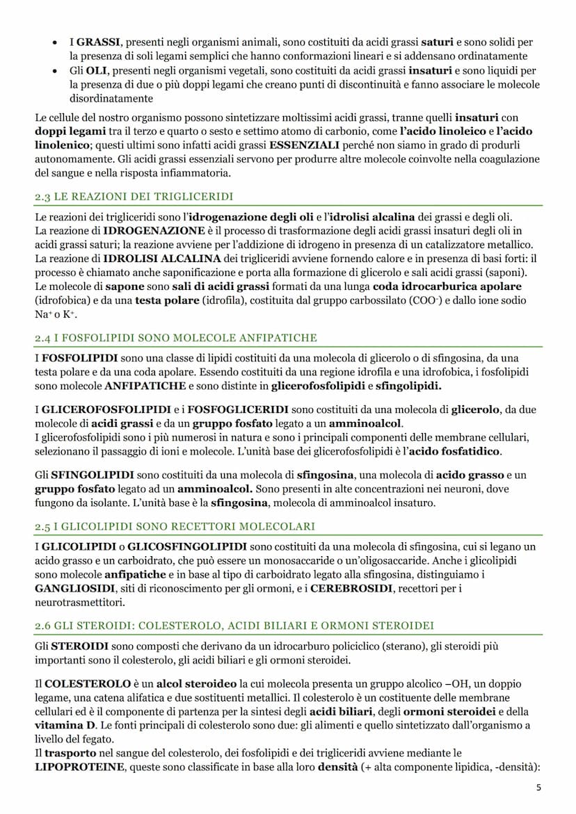 LE BIOMOLECOLE
1. I CARBOIDRATI
1.1 LA BIOCHIMICA
La BIOCHIMICA studia la struttura e la sintesi delle BIOMOLECOLE e il METABOLISMO
CELLULAR