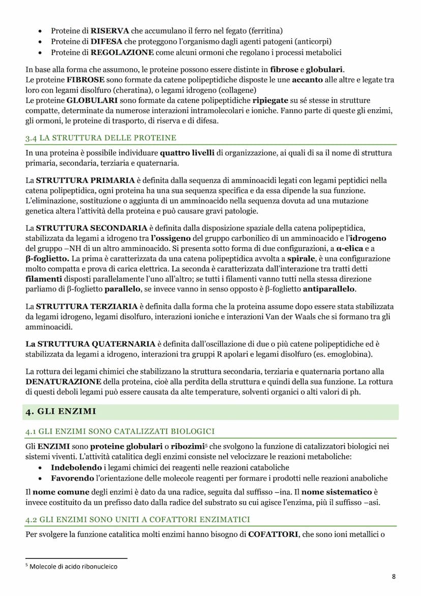 LE BIOMOLECOLE
1. I CARBOIDRATI
1.1 LA BIOCHIMICA
La BIOCHIMICA studia la struttura e la sintesi delle BIOMOLECOLE e il METABOLISMO
CELLULAR