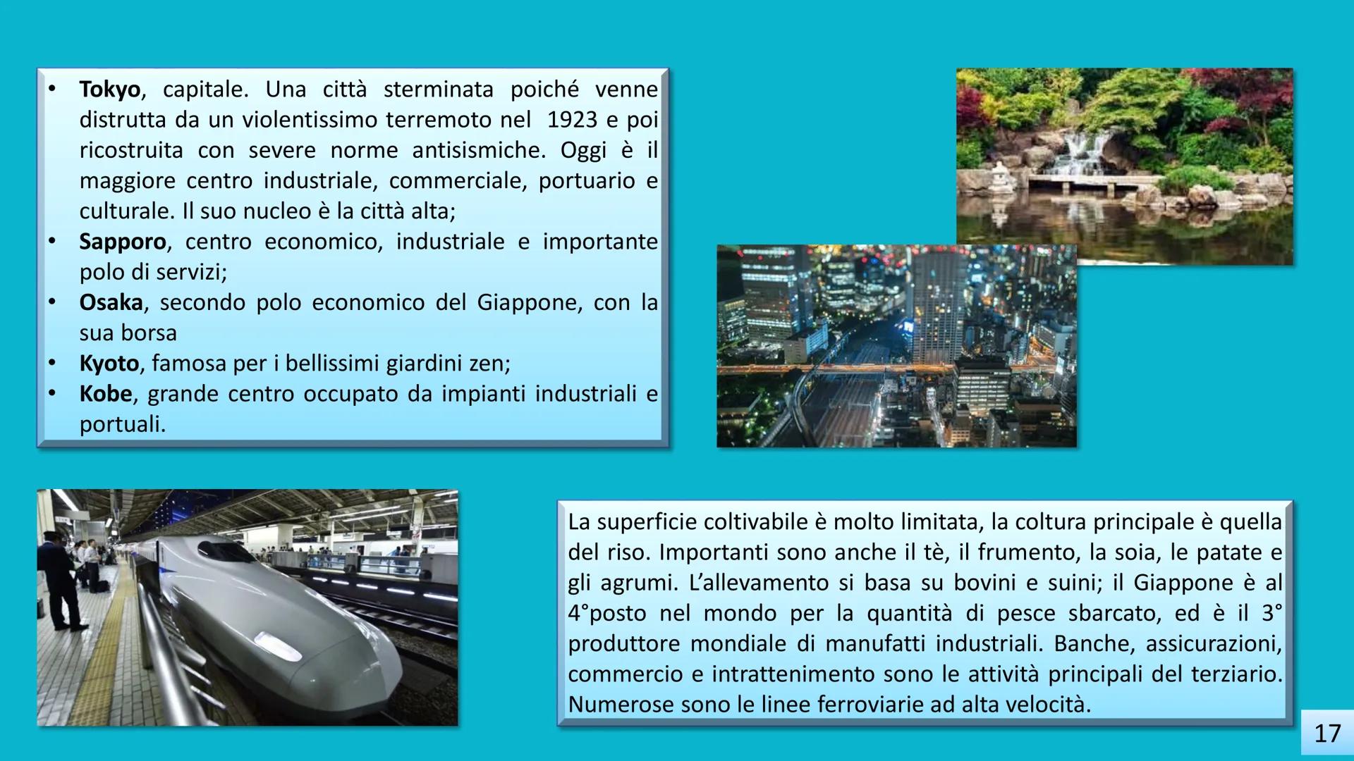 IC POGGIOMARINO 1 CAPOLUOGO
SCUOLA SECONDARIA DI 2°GRADO
LA FOLLIA
"Imparerai a tue spese che nel lungo tragitto della
vita incontrerai tant