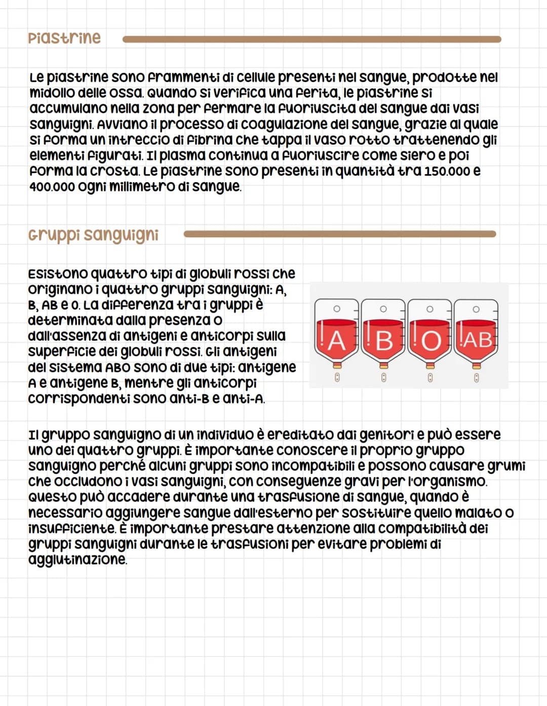 Apparato circolatorio
circolatorio
L'apparato circolatorio è composto dal sangue, dai vasi sanguigni e
dal cuore e serve a far arrivare le s