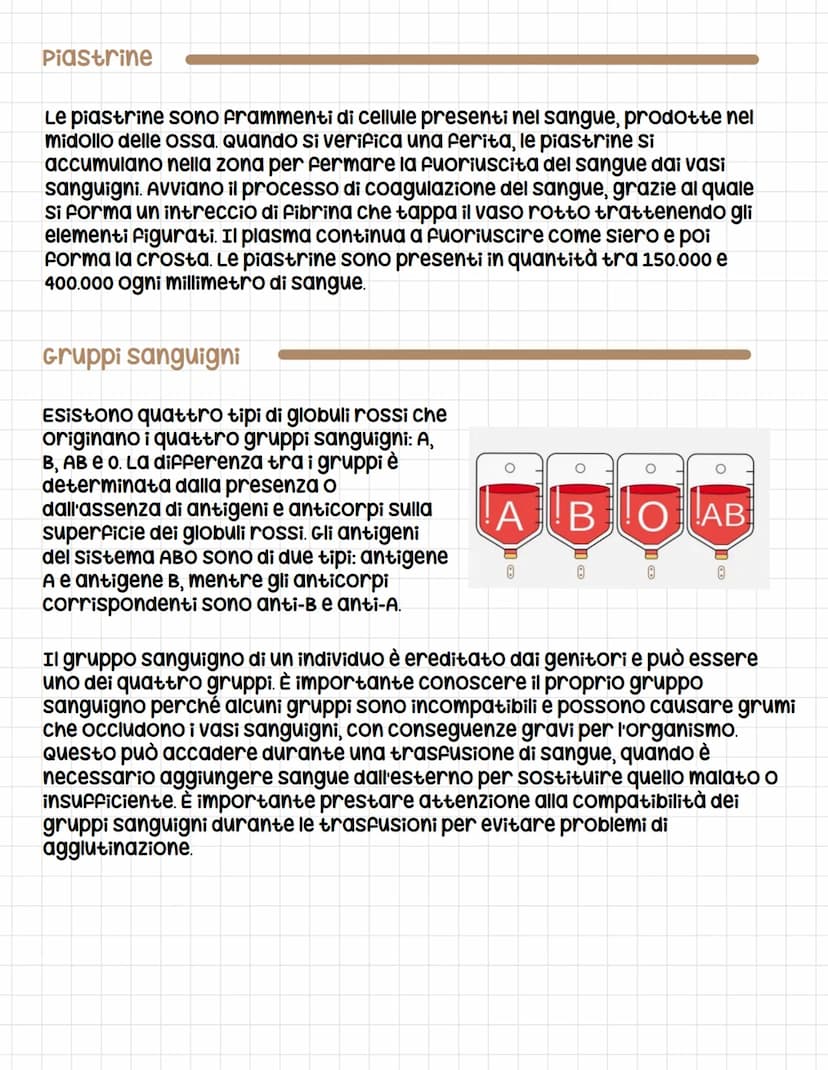 Apparato circolatorio
circolatorio
L'apparato circolatorio è composto dal sangue, dai vasi sanguigni e
dal cuore e serve a far arrivare le s