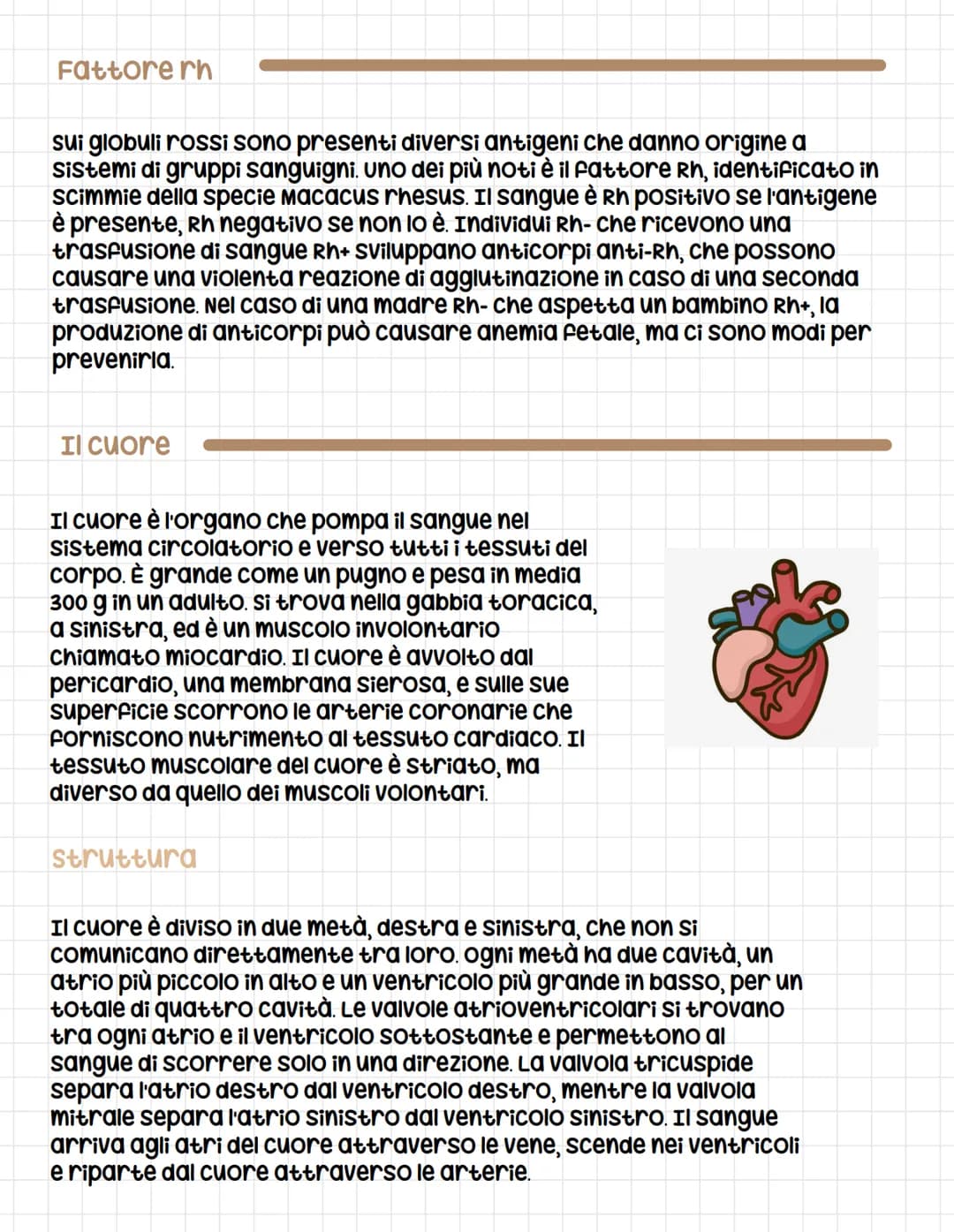 Apparato circolatorio
circolatorio
L'apparato circolatorio è composto dal sangue, dai vasi sanguigni e
dal cuore e serve a far arrivare le s