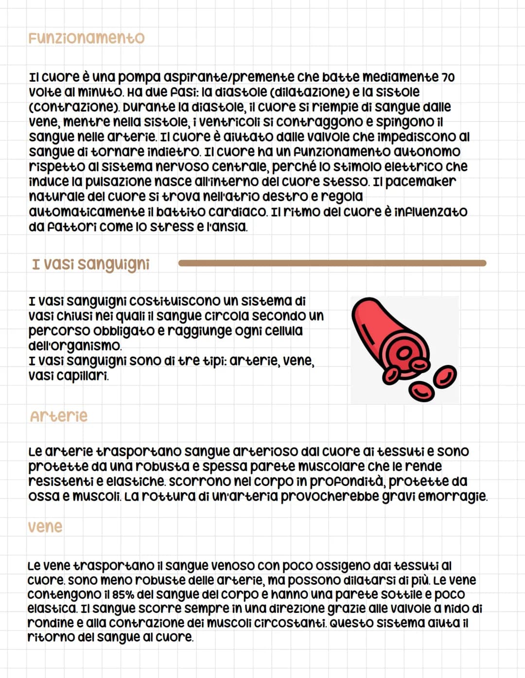 Apparato circolatorio
circolatorio
L'apparato circolatorio è composto dal sangue, dai vasi sanguigni e
dal cuore e serve a far arrivare le s